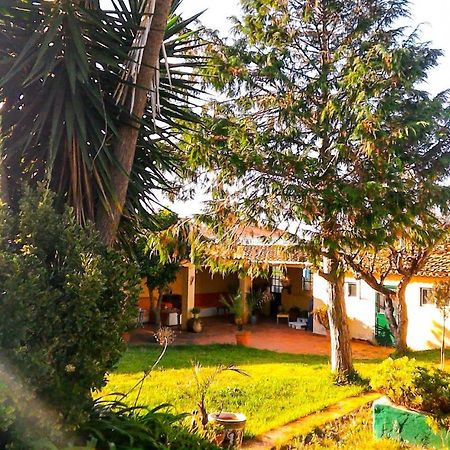 Lugar Saloio Sintra Bed and Breakfast Mem Martins Buitenkant foto